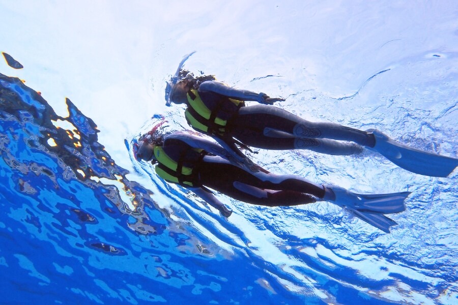 水面を並んで泳ぐ2人組の写真